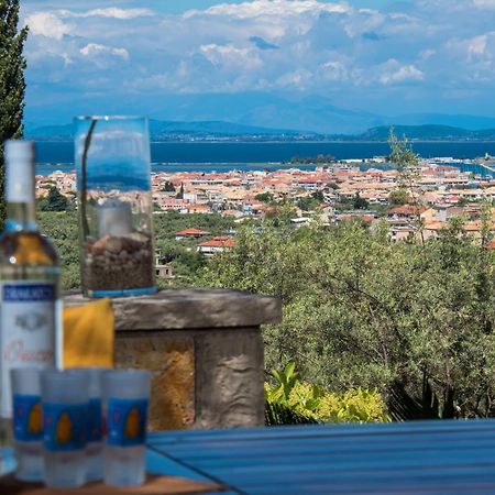 Aloe Villa Apolpaina Экстерьер фото